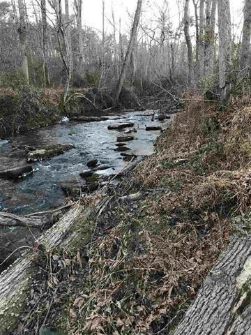 Property Photo: 0 Co Rd 194 AL 35988