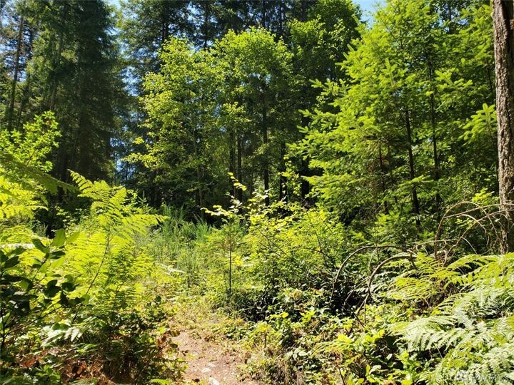 Property Photo:  22230 Bluewater Dr SE  WA 98597 