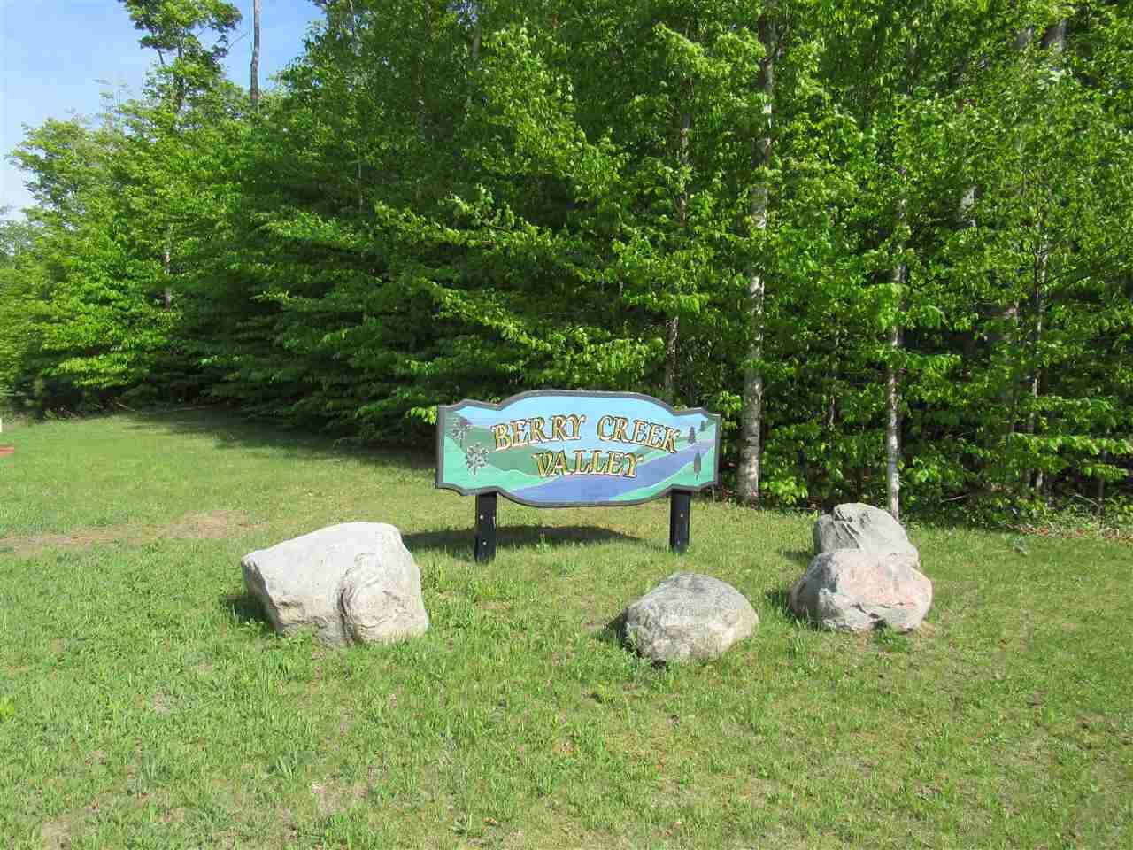 Property Photo:  11300 Berry Creek Valley Rd, #18  MI 49740 