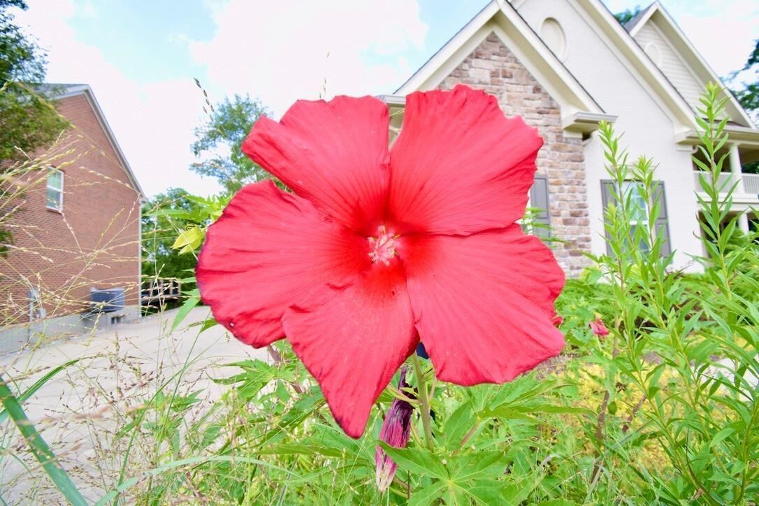 Property Photo:  112 Ramsey Ct  OH 45140 