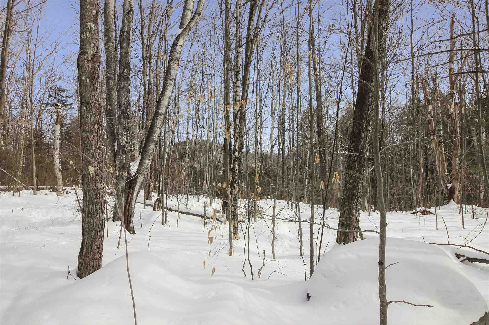 Property Photo:  Lot N-5 Alden Drive  NH 03264 