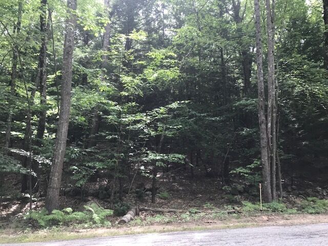 Property Photo:  406-38-3 North Road 406-38-3  NH 03034 