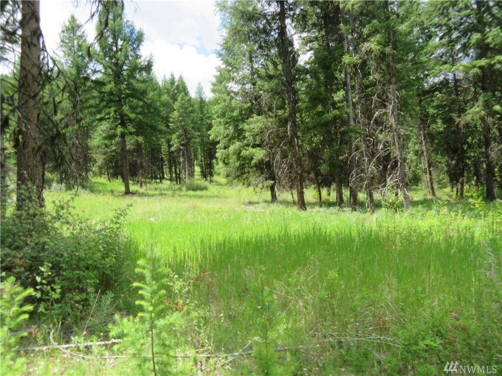 Property Photo: Tbd W Curlew Lake Rd WA 99166