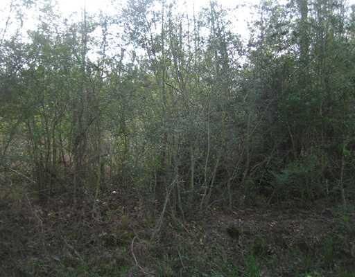 Property Photo:  Strader Road  LA 70454 