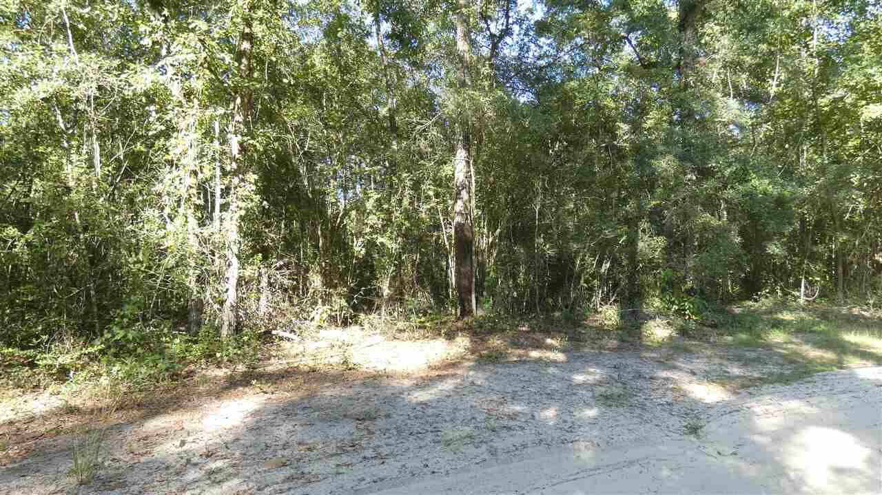Property Photo: Tbd Sheats Road N/A FL 32344
