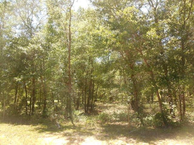 Property Photo:  Xxx McCall Bridge Road 0  FL 32351 