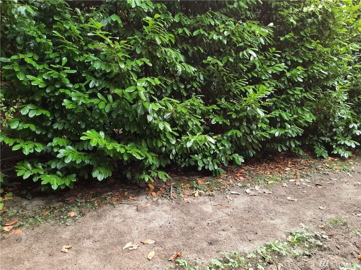 Property Photo:  41512 Cape Horn Dr  WA 98237 