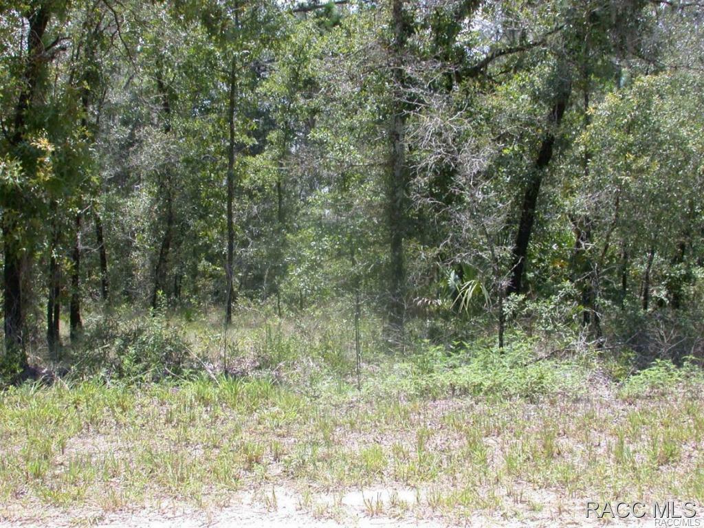 Property Photo:  2312 Jackson Street  FL 34453 