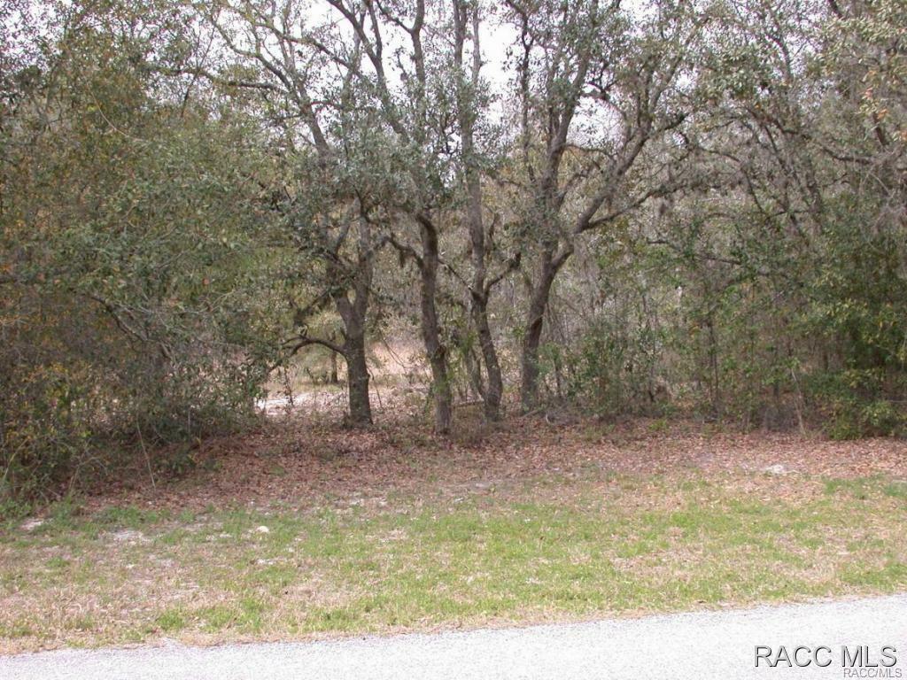 Property Photo:  1013 Hillcrest Avenue  FL 34453 