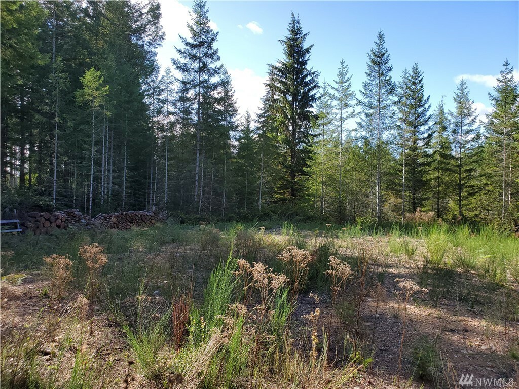 Property Photo: 440 E Thomas Rd WA 98546