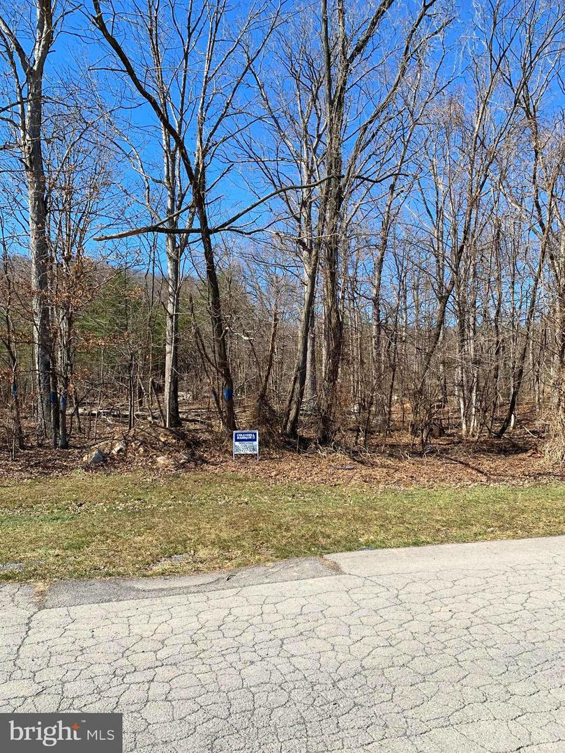 Property Photo:  Lot43 Haines (Previously Marshall) Drive  MD 21502 