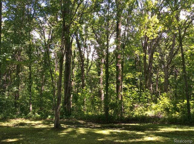 Property Photo: 0 Vacant Bohn Road MI 48111