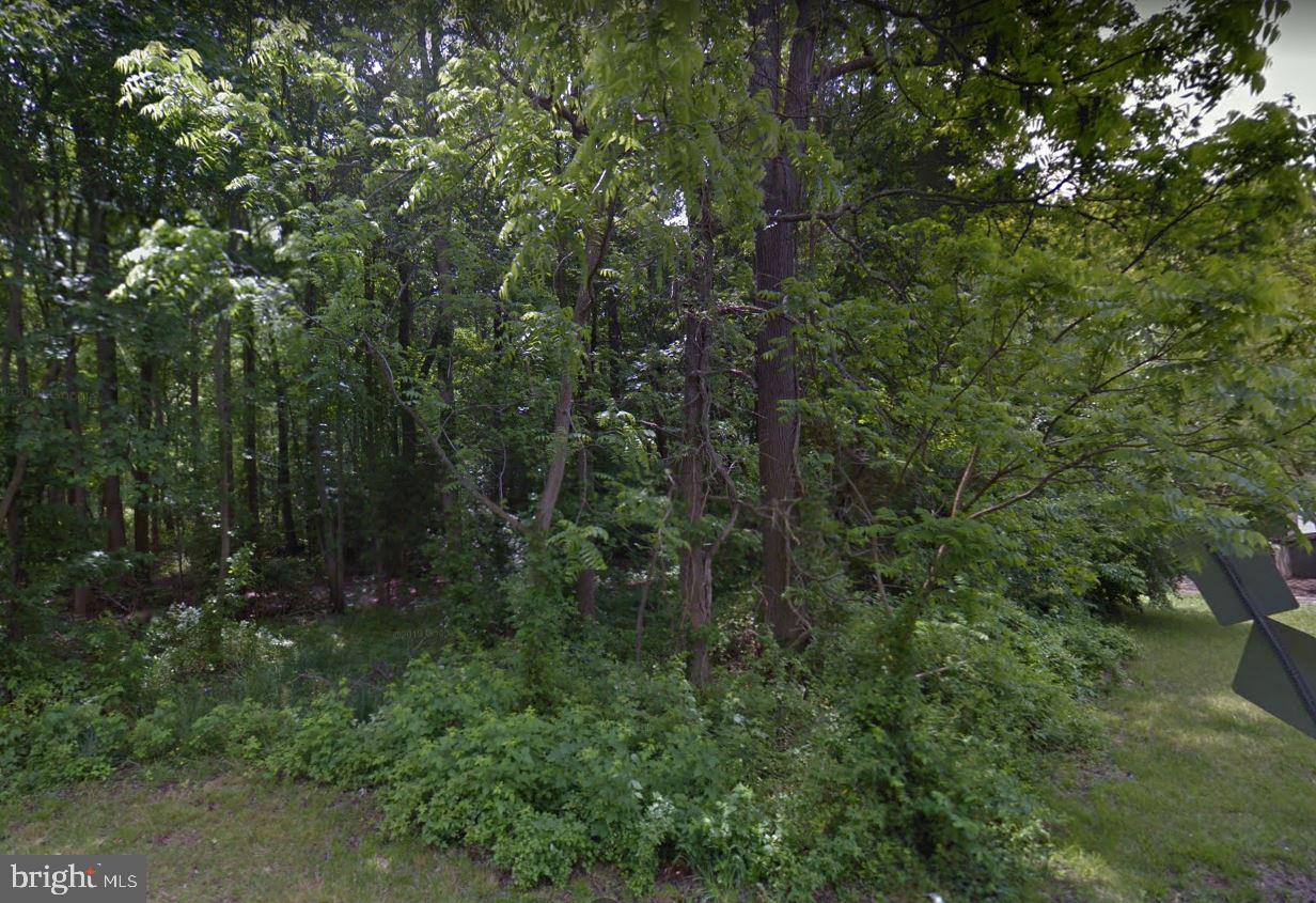 Property Photo:  307 Willow Street  DE 19941 