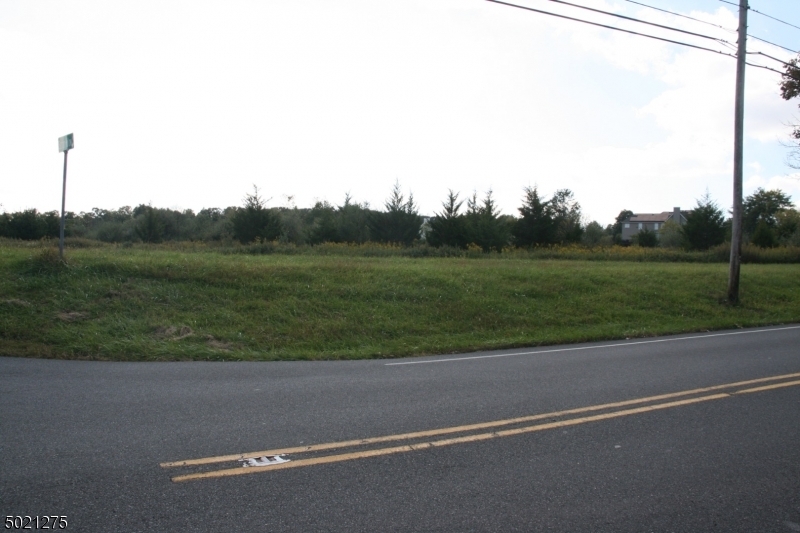 Property Photo:  109 Barton Hollow Rd  NJ 08822 