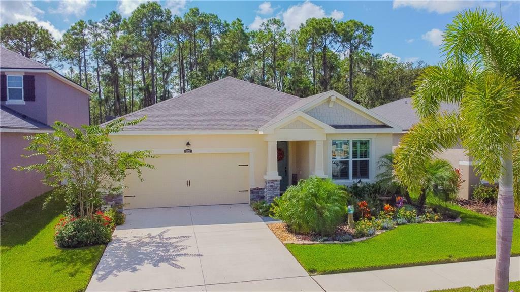 Property Photo: 13227 Baby Belle Drive FL 33579