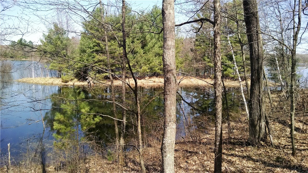 Property Photo: Lot 1 Crystal Point Road WI 54817
