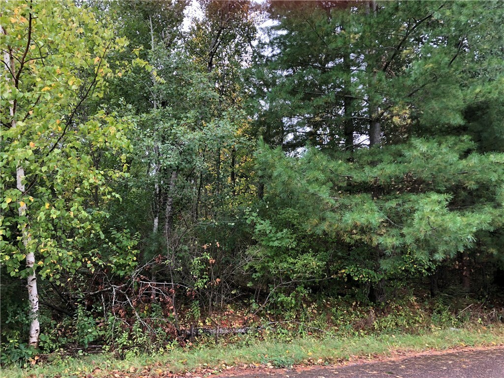 Property Photo: Lot 0 Le Beouf Avenue WI 54896