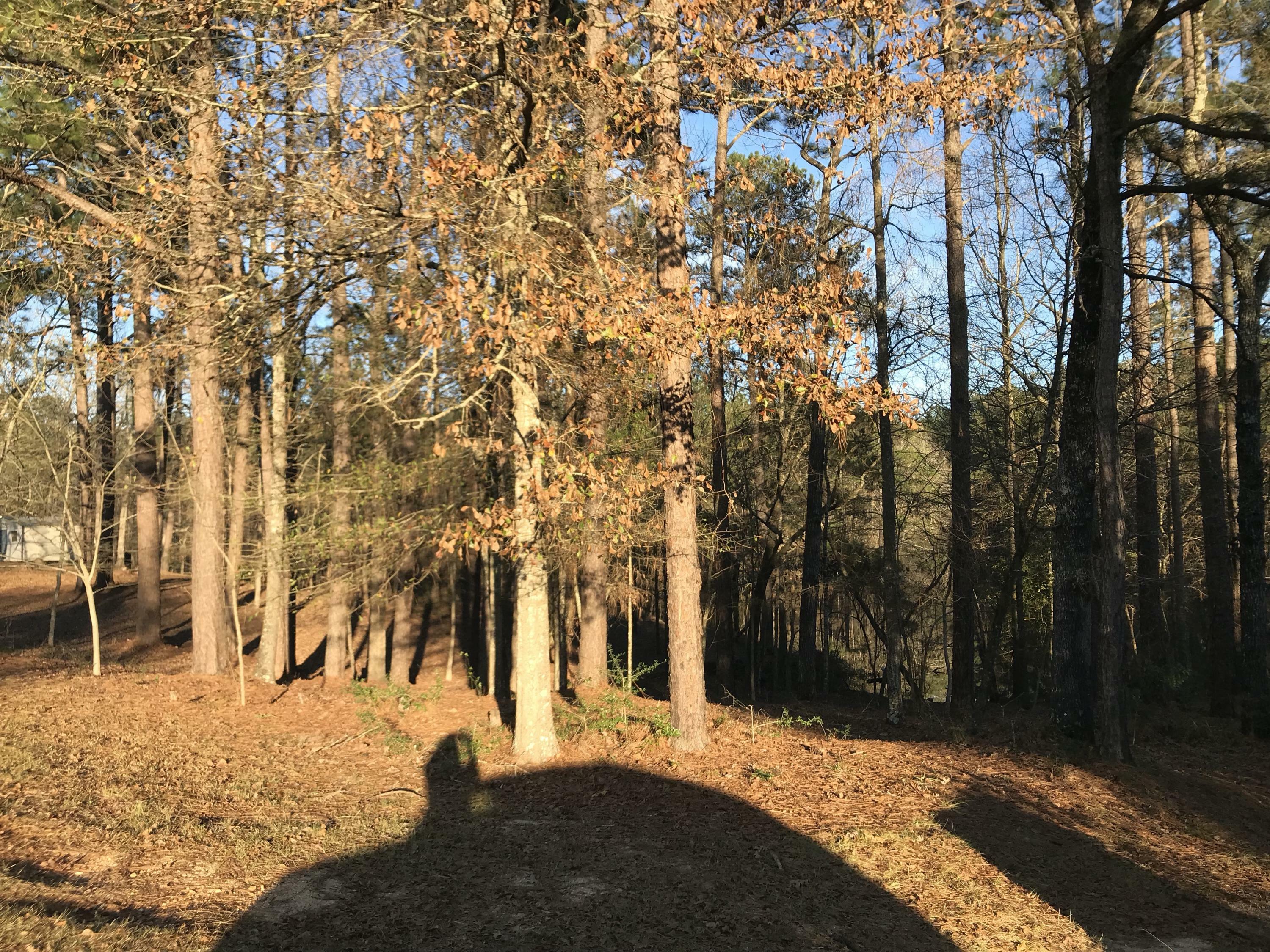 Property Photo: 0 Dogwood Lake Rd (Lot 16) MS 39459