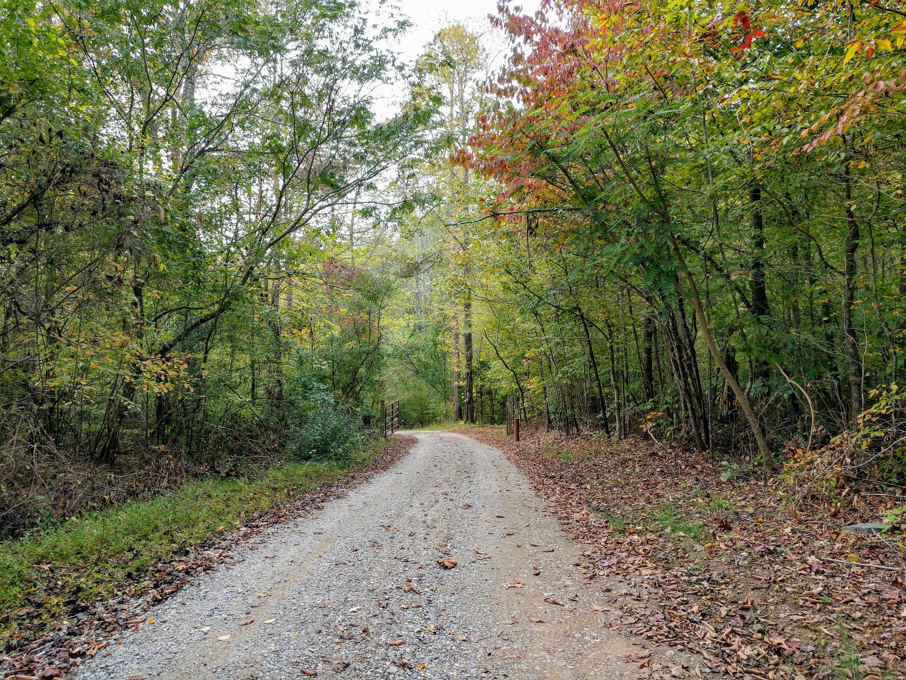 Property Photo:  Haney Hollow Rd  TN 37716 