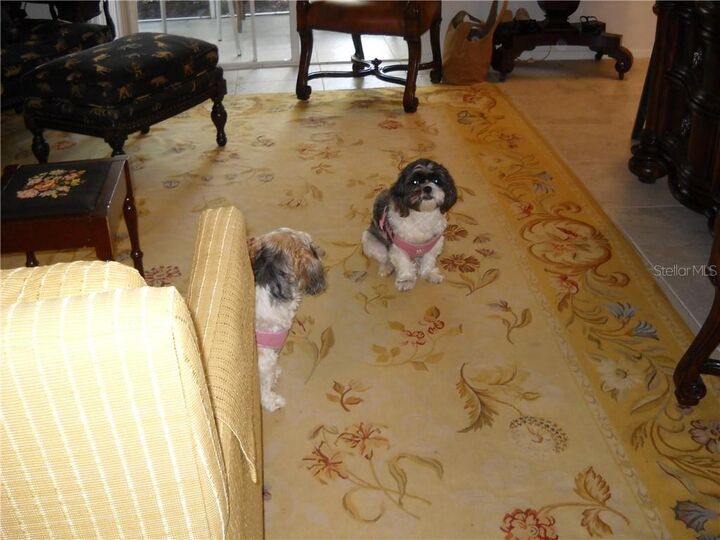 Property Photo:  850 S Tamiami Trail 306  FL 34236 