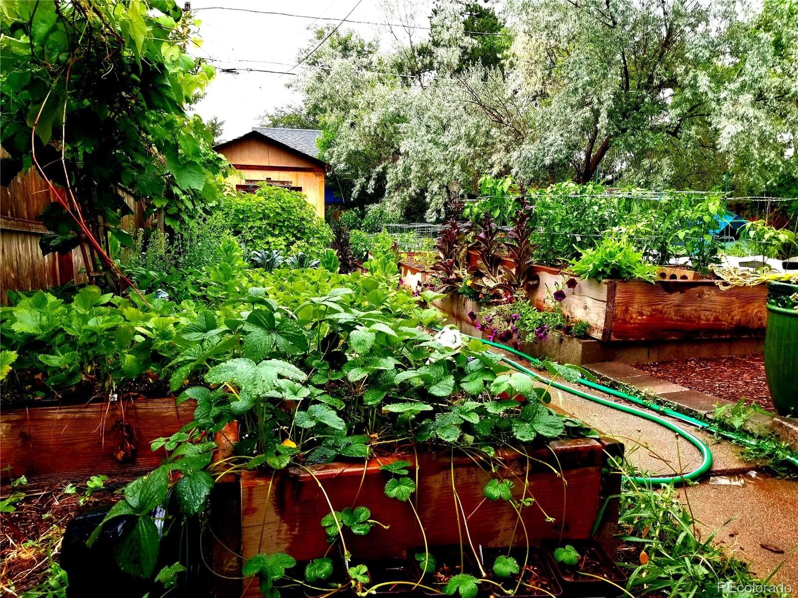 Property Photo: 10548 E 12th Avenue CO 80010