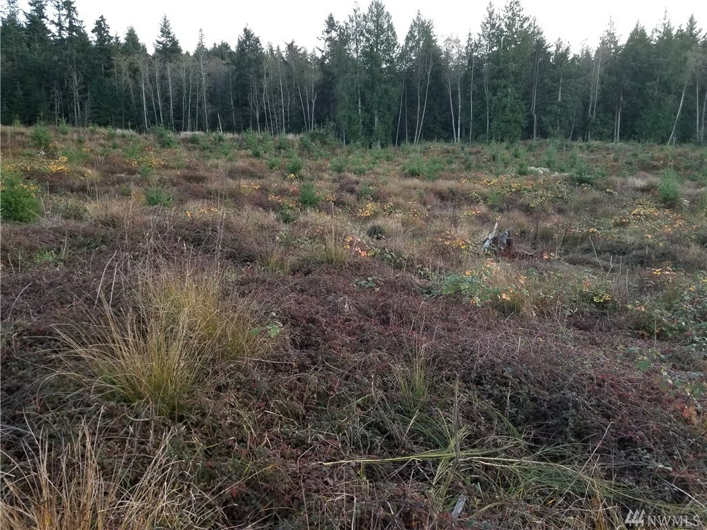 Property Photo:  2000 Goodell Rd  WA 98249 