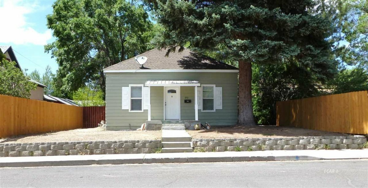 Property Photo:  273 Ash St  NV 89801 