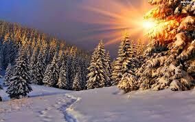 Property Photo: 5 Stecker Rd WA 99146