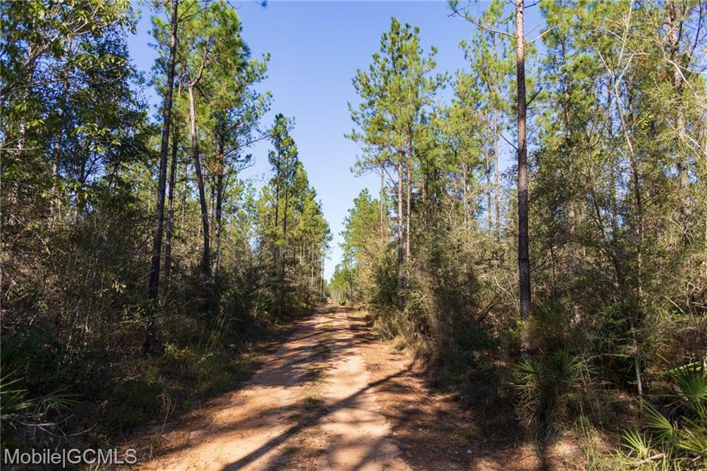 Property Photo:  Frazier Cemetery Road  AL 36522 