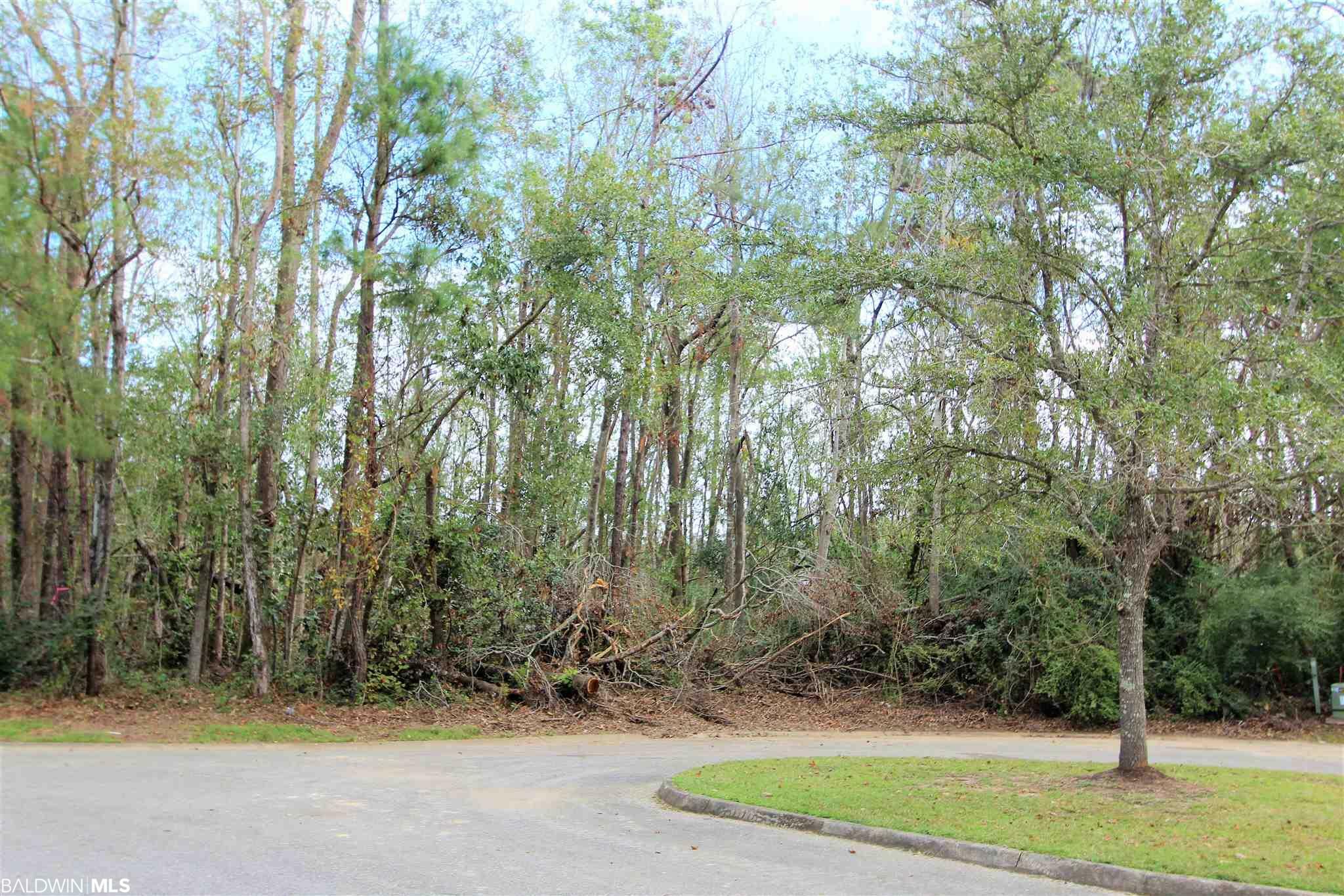 Property Photo:  0 Polo Ridge Boulevard  AL 35632 