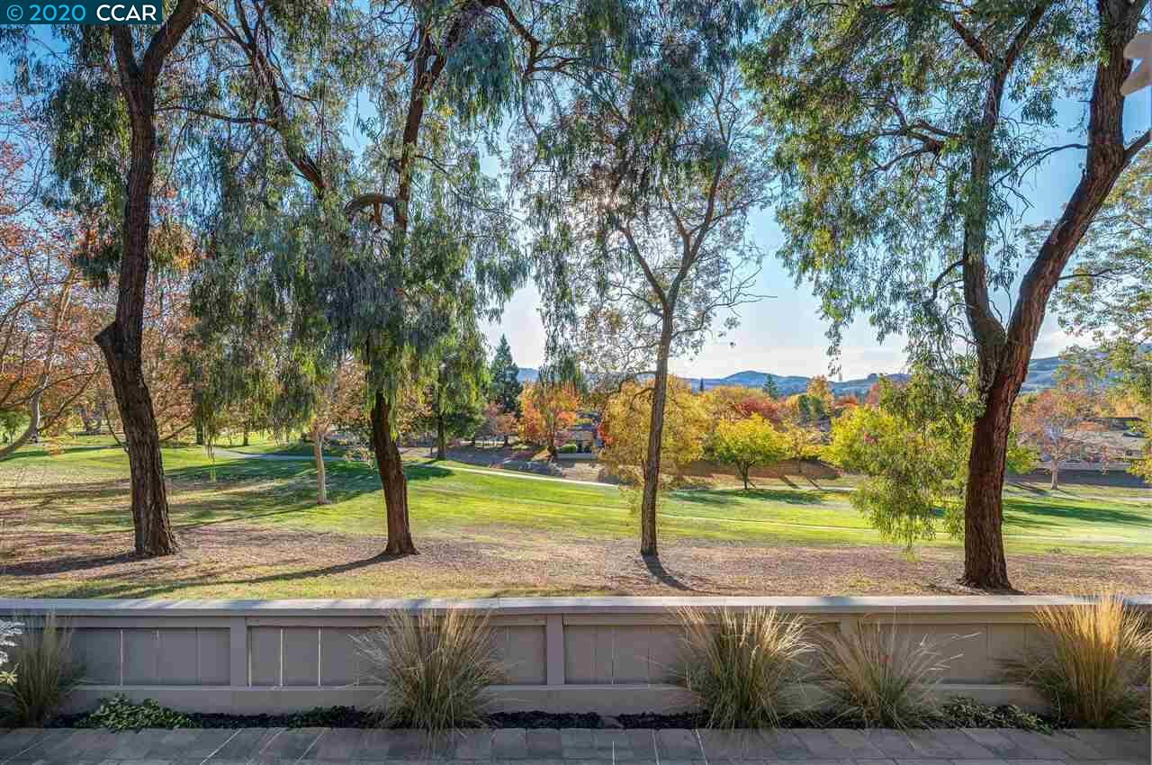 Property Photo:  565 Silver Lake Dr  CA 94526-6256 