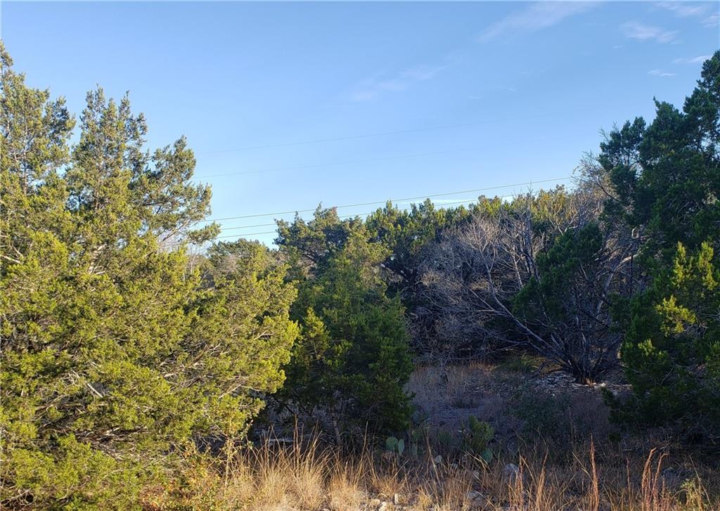 Property Photo:  20602 Ramrod Trail  TX 78645 