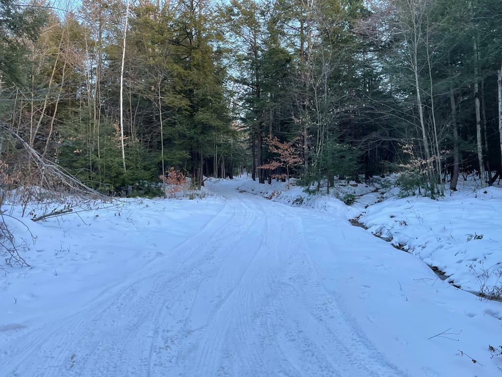 Property Photo:  00 Ober Creek Road  NY 14812 