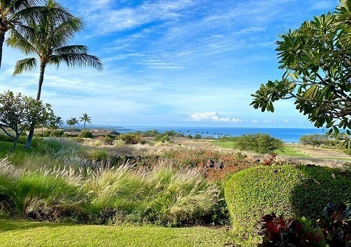 Property Photo:  62-3600 Amaui Place B101  HI 96743 