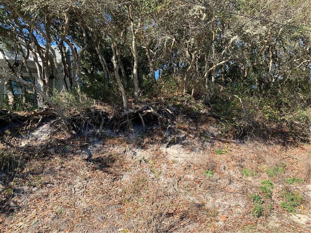 Property Photo:  Lot 2 1st Avenue  FL 32034 