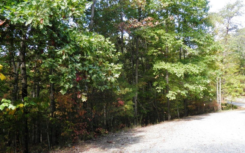 L352 Blue Cloud Trail  Morganton GA 30560 photo