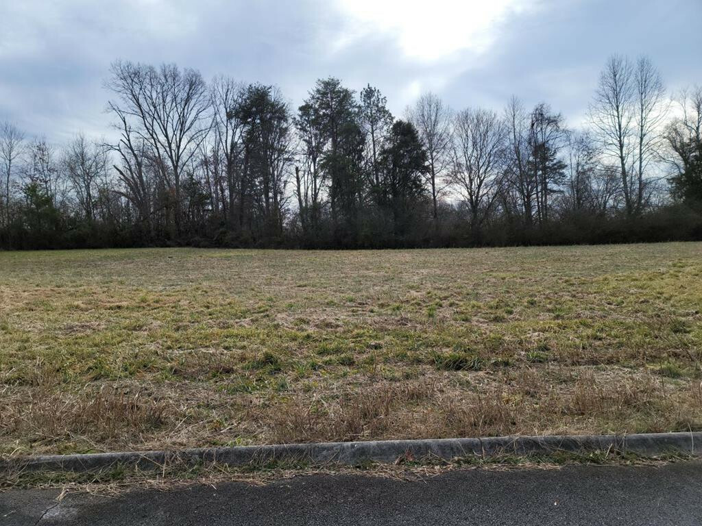 Property Photo: Lot 15 Meadow Lawn Drive TN 37329