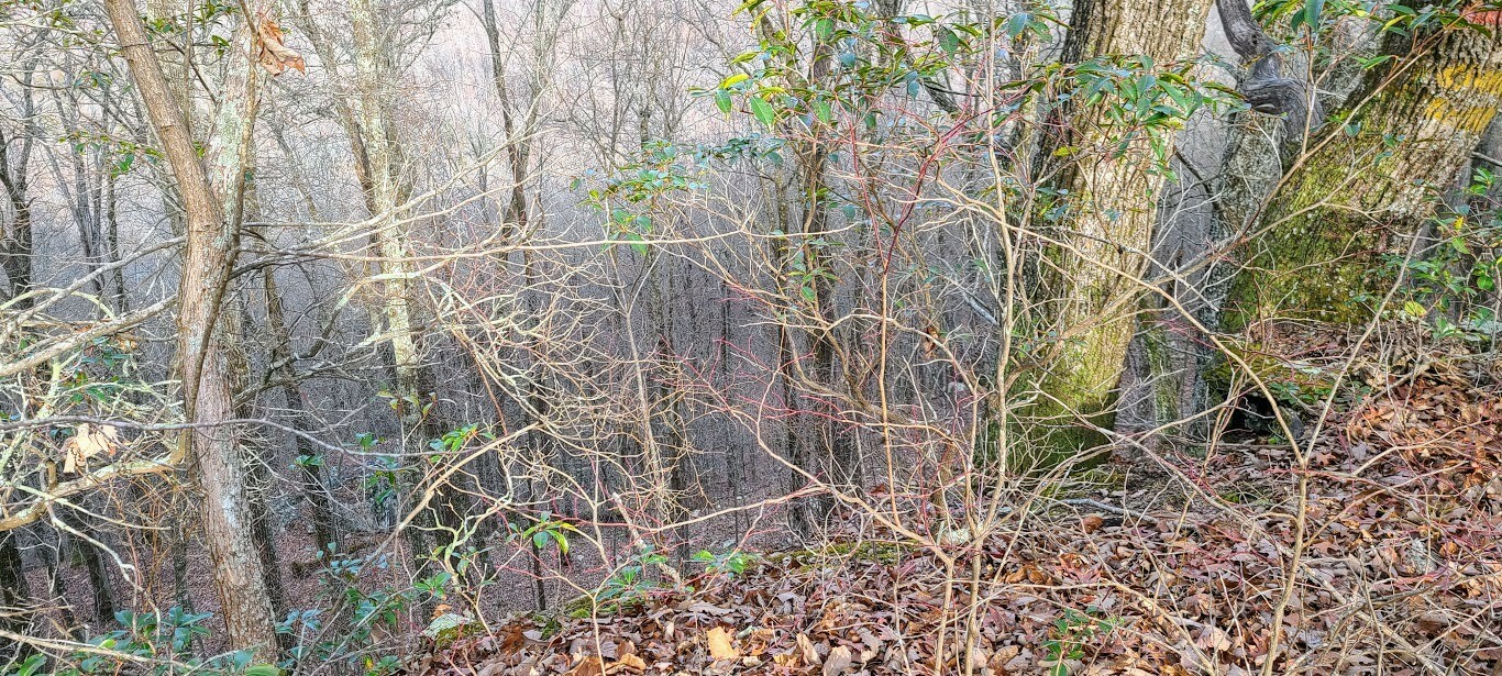 Property Photo:  0 West Of Gizzard Creek Road  TN 37387 