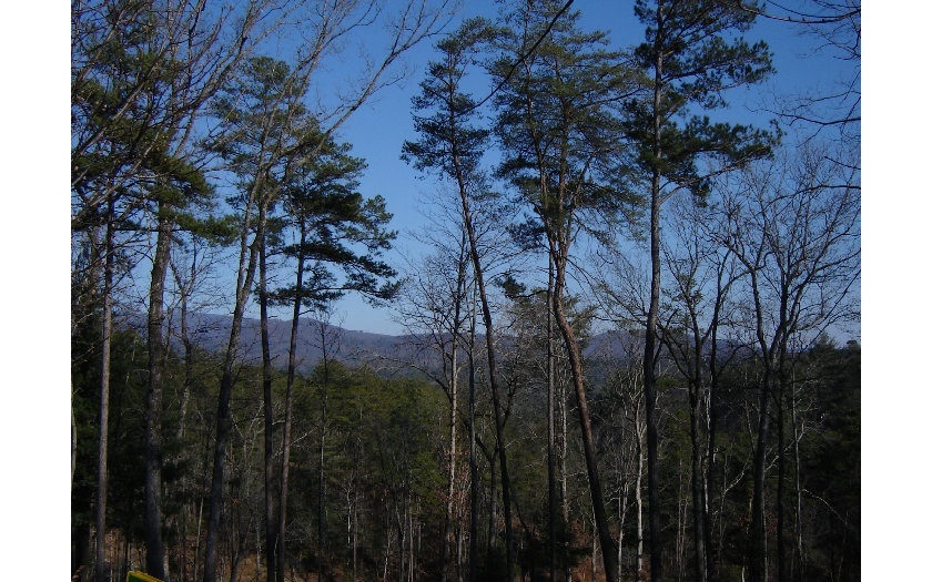 Property Photo:  Lt 12 Vista Heights  GA 30540 