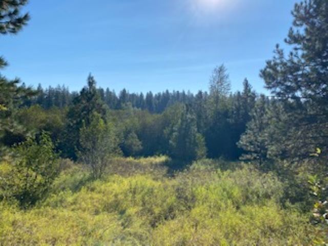 000 N Monroe Rd  Deer Park WA 99006 photo