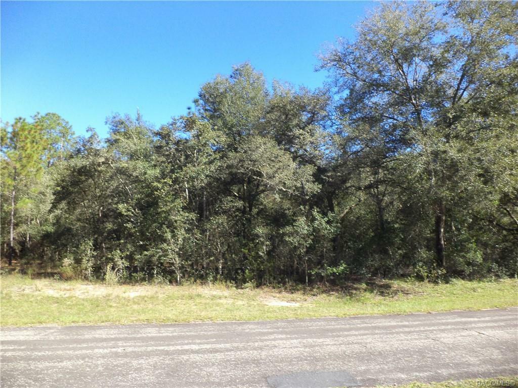 Property Photo:  10225 N Sherman Drive  FL 34434 