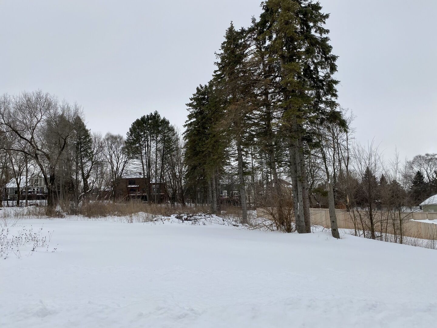 Property Photo:  520 Pine Street  IL 60510 