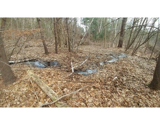 Property Photo: 20 Wildmeadow Rd MA 01921