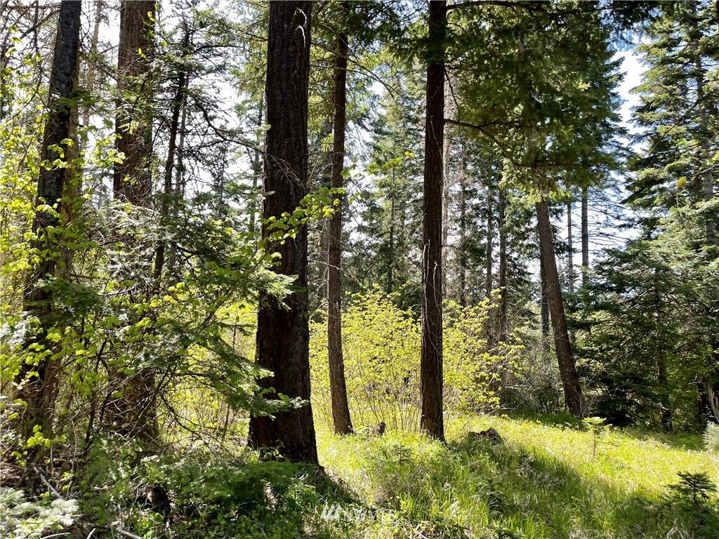 Property Photo:  0  Westside Road  WA 98922 