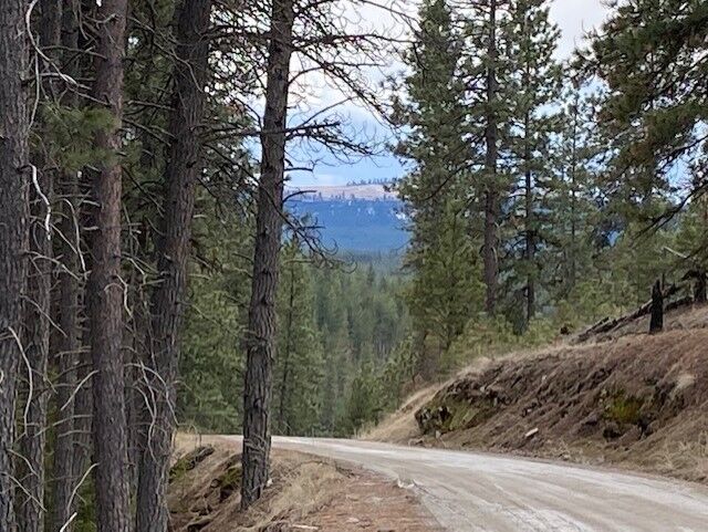 000 Happy Hill Rd 5687A Corkscrew Canyon Rd  Tumtum WA 99034 photo