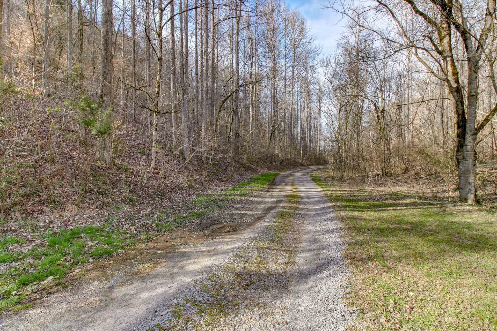 Property Photo:  37 Acres Turkey Hollow Lane  TN 37876 