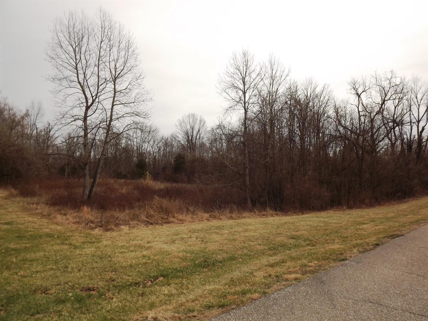 Property Photo:  2008 Josephs Run  OH 45157 