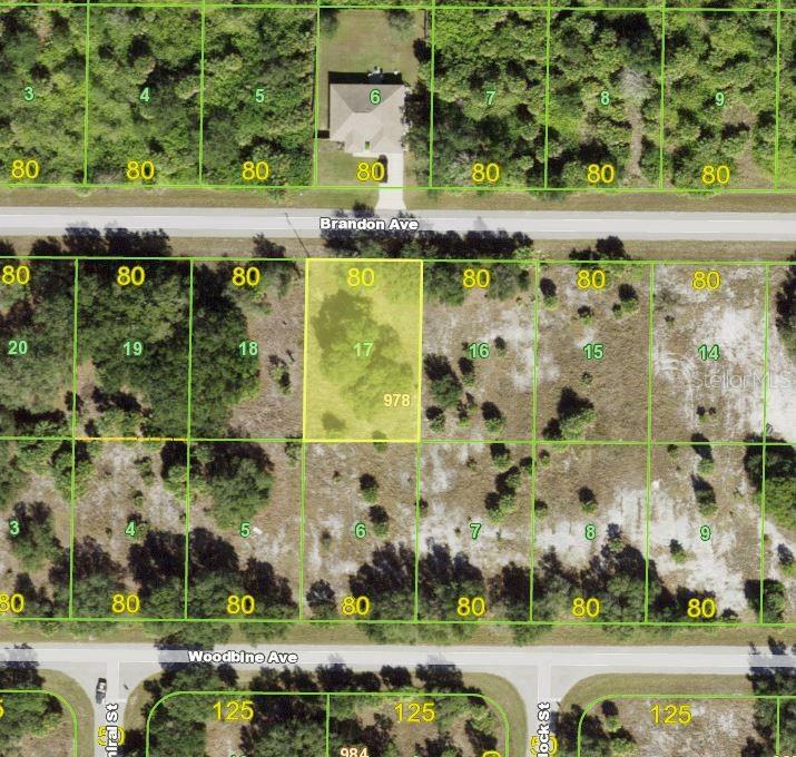 Property Photo: 19193 Brandon Avenue FL 33954