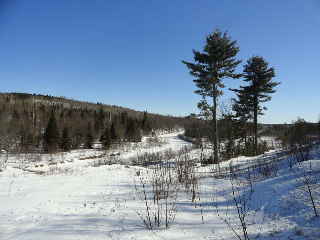 Property Photo:  0 Soucy Road  NY 12981 