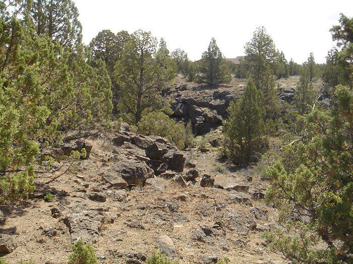 Property Photo: 2512 SE Blue Sky Lane OR 97754